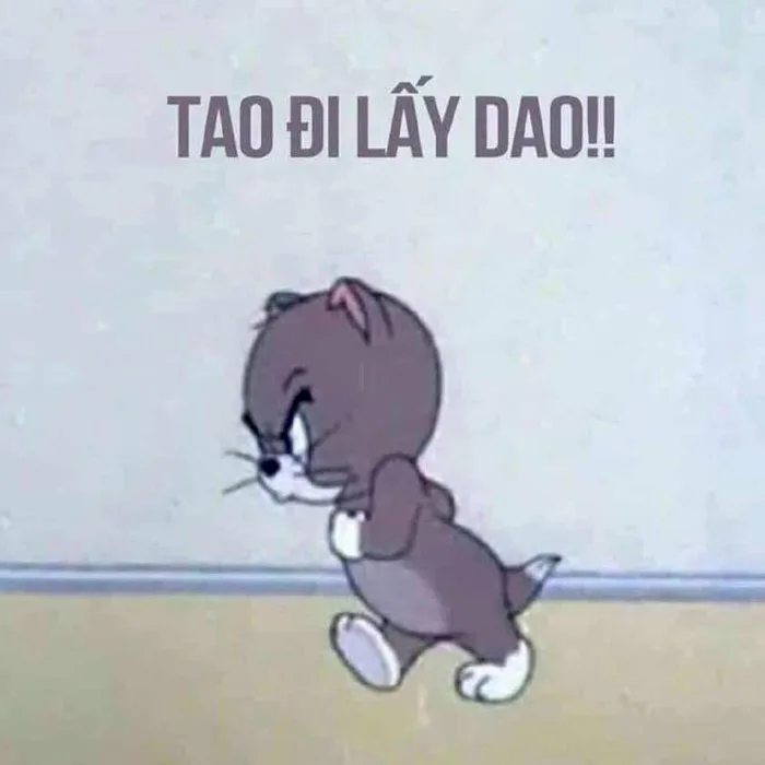 Top 101 ảnh meme mèo Tom hài hước, cute tải xuống miễn phí