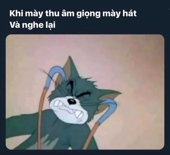 Tổng hợp trọn bộ Meme Tom & Jerry cực hài hước và dễ thương