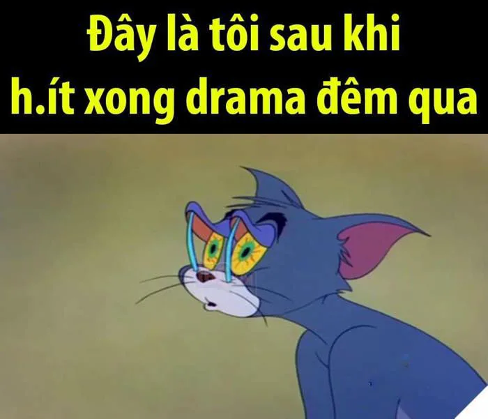 Meme Mèo Tom Mở Cửa, Cười, Khóc, Buồn [43+ Hình Hài Hước]
