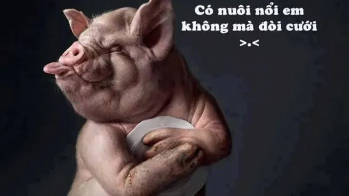 anh-meme-troll-30