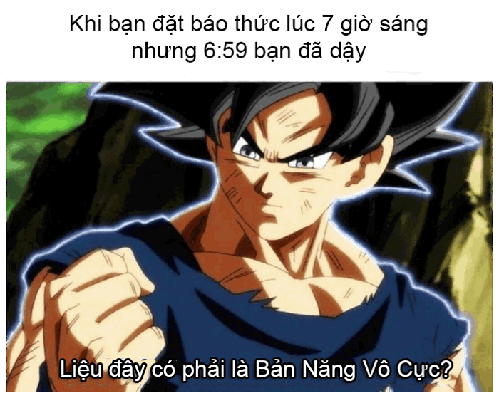 Ảnh chế Meme 