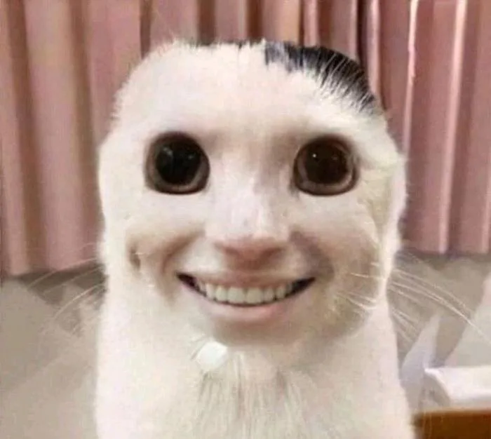 anh-meme-vui-10
