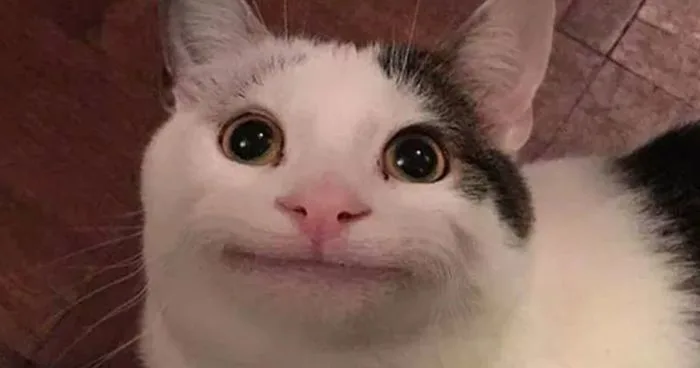 anh-meme-vui-11