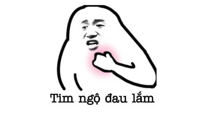 anh-meme-vui-12