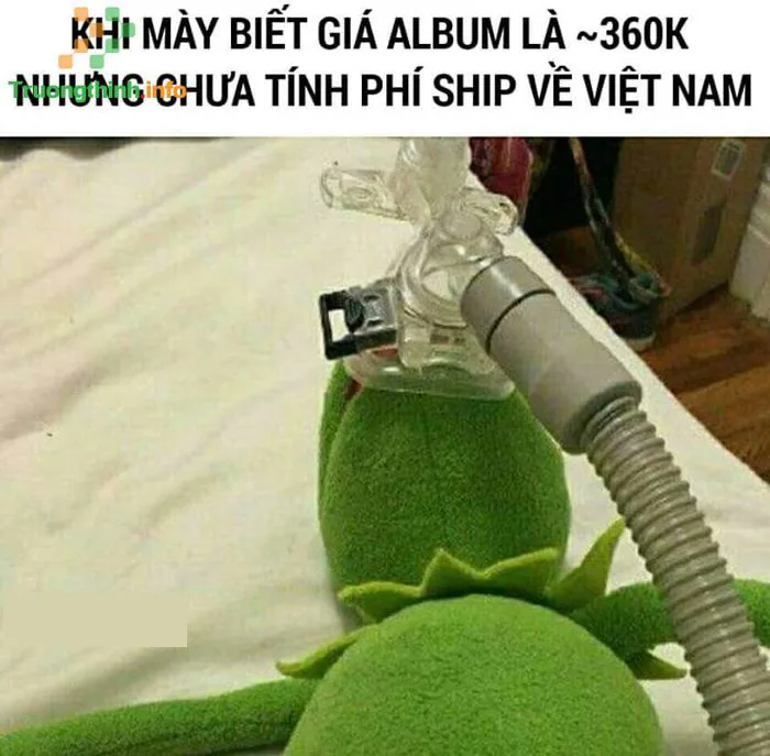 anh-meme-vui-18