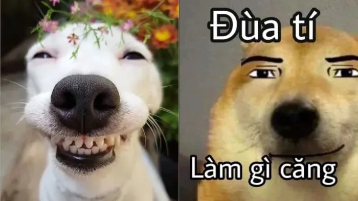 anh-meme-vui-2