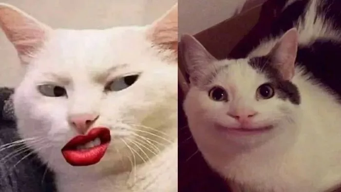 anh-meme-vui-23