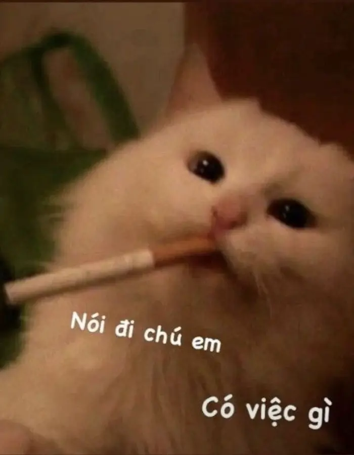anh-meme-vui-26