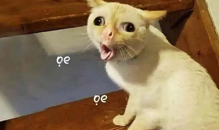anh-meme-vui-30
