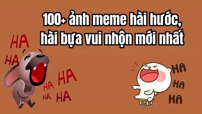 anh-meme-vui-4