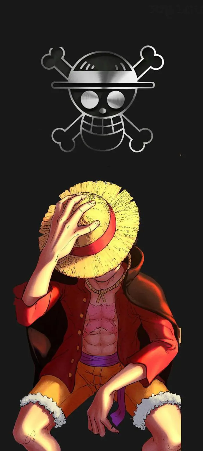 anh-monkey-d-luffy-1