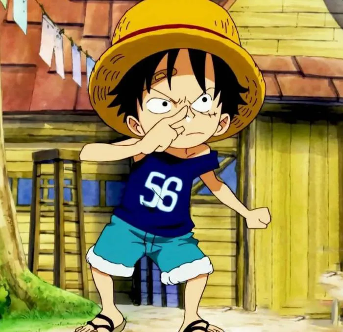 100+ avatar Luffy đa dạng chủ đề độc đáo để bạn thoải mái tải về làm hình  nền ấn tượng cho điện thoại