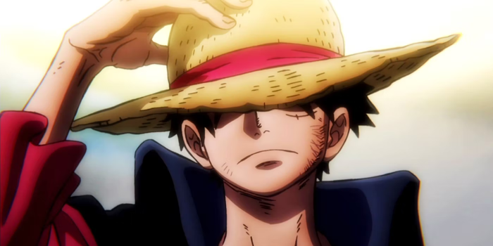 Monkey D. Luffy - Tất tần tật về Luffy Mũ rơm