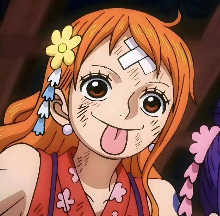 Hiện tại đang cần ảnh Nami kiểu ngốc nghếch. : r/MemePiece