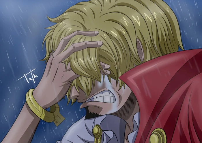 Ảnh Sanji ngầu, đẹp, chất nhất