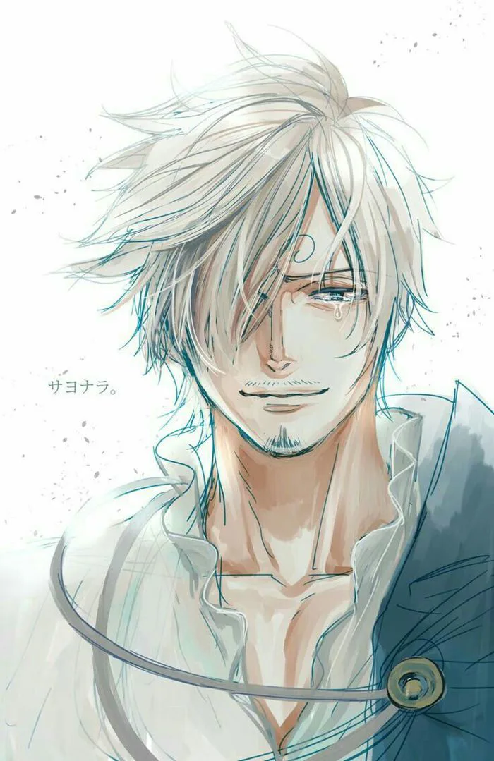Tổng hợp những hình ảnh đẹp nhất One Piece - One Piece avatar (Vinsmoke  Sanji) - Wattpad
