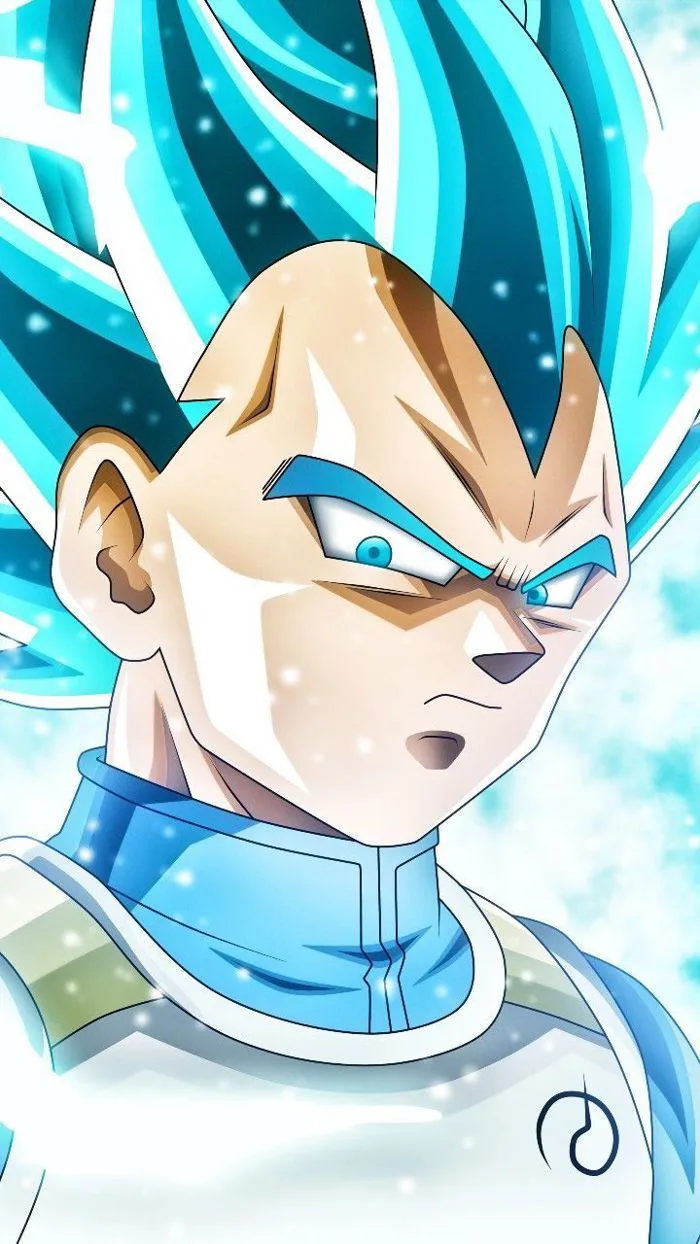 Vegeta Ssj Blue